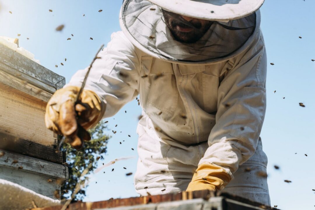 plastic bee frame strong during harvesting