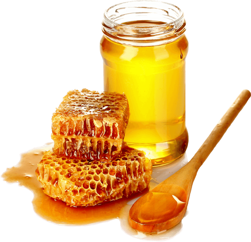 BeeBrilliance logo for South African plastic bee frame brand